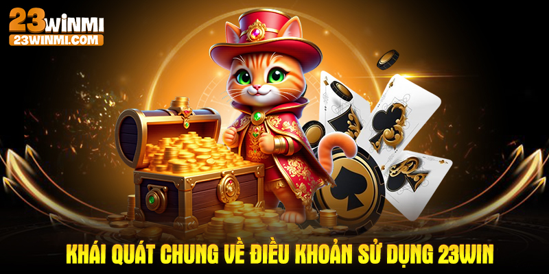 Khái quát chung về điều khoản sử dụng 23Win