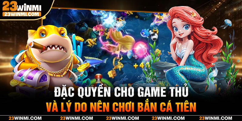 Đặc quyền cho game thủ và lý do nên chơi bắn cá tiên