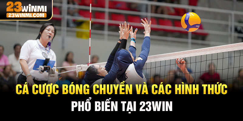 Cá cược bóng chuyền và các hình thức phổ biến tại 23Win